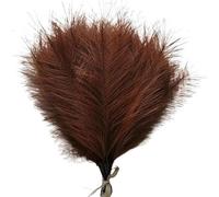 decorare la casa con fiori secchi, Confezione da 1/5/10/30 erba artificiale della pampa multicolore(038deep Coffee,5pcs)