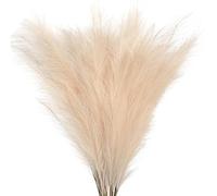 decorare la casa con fiori secchi, Erba artificiale della pampa, confezione da 5 o 10 pezzi, 20-22 pollici(S2,5pcs)