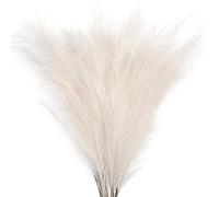 decorare la casa con fiori secchi, Erba artificiale della pampa, confezione da 5 o 10 pezzi, 20-22 pollici(S3,5pcs)