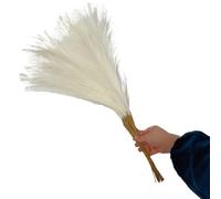 decorare la casa con fiori secchi, Erba artificiale della pampa multicolore, confezione da 5/10/20 pezzi, 55 cm(Milky White,5PCS)
