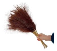 decorare la casa con fiori secchi, Erba artificiale della pampa multicolore, confezione da 5/10/20 pezzi, 55 cm(Brown,5PCS)