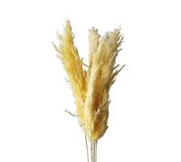 decorare la casa con fiori secchi, Erba della Pampa secca 45 cm multicolore confezione di diverse misure(Light Yellow,4-5pcs)
