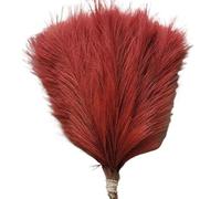 decorare la casa con fiori secchi, Mazzo di erba della pampa 42 cm multicolore 1 pezzo o confezione da 5/10/30 pezzi(016wine Red,5pcs)