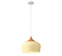 Decorative Crafts Chandelier, Single Head Pendant Light in Trendy Colours, Traditional Color Hanging Lamp, Minimalist Nordic Lighting Fixture for Restaurant, Dining Room, Bedroom, Kitchen, Bar(