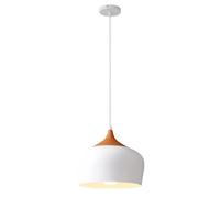 Decorative Crafts Chandelier, Single Head Pendant Light in Trendy Colours, Traditional Color Hanging Lamp, Minimalist Nordic Lighting Fixture for Restaurant, Dining Room, Bedroom, Kitchen, Bar(
