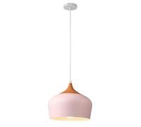 Decorative Crafts Chandelier, Single Head Pendant Light in Trendy Colours, Traditional Color Hanging Lamp, Minimalist Nordic Lighting Fixture for Restaurant, Dining Room, Bedroom, Kitchen, Bar(