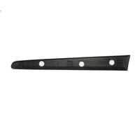 Decorative trim BLIC 5703-04-2027474P per FIAT STILO (192_) 1.4 2005-2006