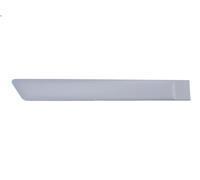 Decorative trim BLIC 5703-04-2564478CP per FORD FIESTA V Van 1.6 2007-2009