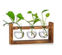 Decorativo Di Vasi Vetro e Legno Per Fiori Piccoli, 3Pz Per Piante Da Arredo Interno Fioriere Vintage Lampadina Con Supporto Per Centro Tavola Desk Balconiera Natale Matrimonio Sopramobili