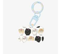 Decorazione a forma di osso di cane in acrilico con stampa Pomeranians, targhette per animali domestici, portachiavi per cani per le vacanze per gli amanti degli animali domestici, regalo per cani