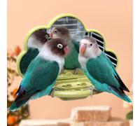 Decorazione a specchio per uccelli pappagallo Specchi robusti per nuvole