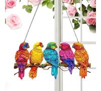 Decorazione Acrilico Pappagallo Colorato, Pendente Dell'uccello 2D In Acrilico, Ornamento Del Pappagallo Colorato | Arte Piatto Cattura La Luce Del Sole, Decorazione Rustica Interna E Esterna Per