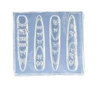 Decorazione artistica per unghie con più stampi in silicone alternativi per realizzare decorazioni floreali e fascino, strumenti per nail art
