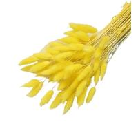 Decorazione Boho con erba della pampa, fiori secchi a forma di coda di coniglio, confezione da 20-120 pezzi multicolore(Yellow,120)