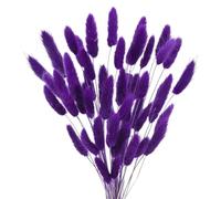 Decorazione Boho con erba della pampa, fiori secchi a forma di coda di coniglio, confezione da 20-120 pezzi multicolore(Purple,50Pcs)