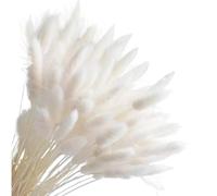 Decorazione Boho con erba della pampa, fiori secchi a forma di coda di coniglio, confezione da 20-120 pezzi multicolore(White,120)