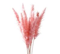Decorazione con erba della pampa essiccata, Bouquet di erba della pampa, fiori secchi naturali, confezione da 30 pezzi, multicolore, decorazione for la casa da sposa(A Pink)