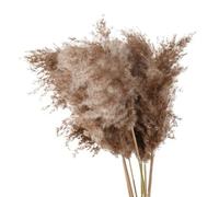 Decorazione con erba della pampa essiccata, Bouquet di erba della pampa, fiori secchi naturali, confezione da 30 pezzi, multicolore, decorazione for la casa da sposa(C Primary Color)