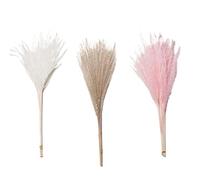 Decorazione con erba della pampa essiccata, Bouquet di erba della pampa, fiori secchi naturali, confezione da 30 pezzi, multicolore, decorazione for la casa da sposa(B Primary White Pink)