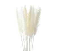 Decorazione con erba della pampa essiccata, Bouquet di erba della pampa, fiori secchi naturali, confezione da 30 pezzi, multicolore, decorazione for la casa da sposa(A White)
