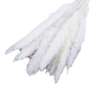 Decorazione con erba della pampa essiccata, Confezione da 15 fiori secchi di erba della pampa multicolore 50 cm 19,7 pollici(White)
