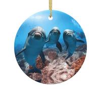 Decorazione da appendere all'albero di Natale, in ceramica, con divertente delfino che ti guarda, ricordo per le vacanze, la casa, festa di Natale, montaggio a parete, regalo