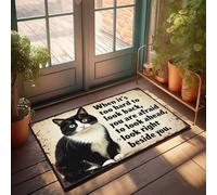 Decorazione da bar per la casa Cat Wisdom: fronte avanti con coraggio zerbino decorazione esterna grande tappetino di benvenuto all'aperto (50 x 80 cm)