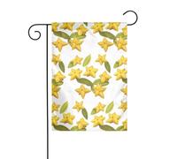 Decorazione da giardino bandiera da giardino 30,5 x 45,7 cm WHJDPP Carambola stella a cinque punte stampata spessa e resistente all'usura per vasi da fiori da giardino e prati