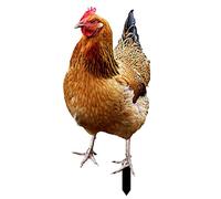 Decorazione da Giardino Con Galline - Ornamento in Metallo per Esterni, Statuette