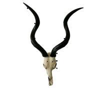 Decorazione da parete con teschio di toro con design a pergamene, stile rustico occidentale del sud-ovest, finta testa di animale per soggiorno o casa del ranch (I)