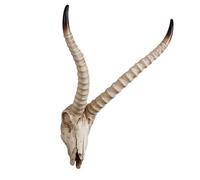 Decorazione da parete con teschio di toro con design a pergamene, stile rustico occidentale del sud-ovest, finta testa di animale per soggiorno o casa del ranch (D)