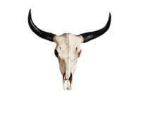Decorazione da parete con teschio di toro con design a pergamene, stile rustico occidentale del sud-ovest, finta testa di animale per soggiorno o casa del ranch (G)