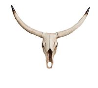 Decorazione da parete con teschio di toro con design a pergamene, stile rustico occidentale del sud-ovest, finta testa di animale per soggiorno o casa di ranch (F)