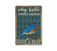 Decorazione da parete con uccellini guance, 20 x 30 cm, con scritta in lingua inglese "Why Hello Sweet Cheeks Have A Seat", in metallo, stile vintage, per camera da letto, bagno, soggiorno, cucina