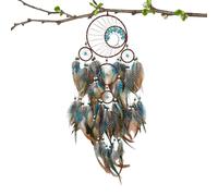 Decorazione da parete del ricevitore da sogno | Crystal Stones Penne in