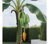 Decorazione decorativa per la raccolta di grappoli di banane artificiali con