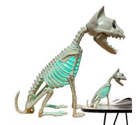 Decorazione del teschio di gatto,Decorazione dello scheletro di gatto, scultura dello scheletro di gattino con lampada, statua di Halloween, statuetta di animali scheletrica, accessorio per Inte