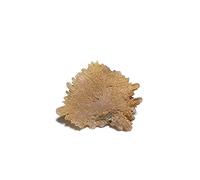 decorazione della stanza For la 10g B4-1 Pietra naturale Cerussite Campione di cristallo Decorazione della casa dalla provincia di Guangxi, Cina