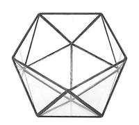 Decorazione di contenitori geometrici di fioriera in vetro per succulenti piante muschi candele