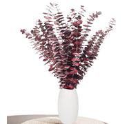 Decorazione di eucalipto Aufisi - 22 pezzi di eucalipto essiccato (43 cm+), eucalipto essiccato per decorazione, matrimoni, accessori per la casa, composizione floreale essiccata, rosso