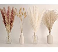Decorazione di Pampas Grass Naturale, che Include 65 Pezzi di Pampas Grass, Canne Secche e Fiori di Coda all'Uncinetto Secchi, per di Boho Decorazioni per la Casa STK