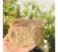 Decorazione for la casa di , di legno pietrificato naturale pietra originale grezzo cristallo di rocca quarzo campioneReiki Home Decor regali, pietre naturali di cristallo naturale Cristalli Reiki ( S