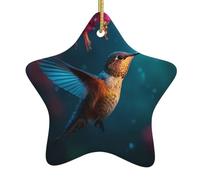 Decorazione in ceramica a forma di stella da appendere, per albero di Natale, con stampa WHJSHOP colibrì al mattino, facile da appendere su alberi, porte e finestre