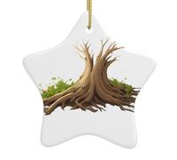 Decorazione in ceramica per albero di Natale da appendere a forma di stella YYHWHJDE che germoglia in legno morto stampe facili da appendere su alberi, porte e finestre