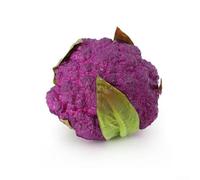 Decorazione in PU a forma di broccoli per fotografia alimentare, fondali per interni di casa e materiali di supporto per l'educazione visiva (C)
