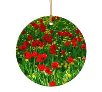 Decorazione natalizia da appendere in ceramica con stampa di papaveri rossi, fattoria e prato, decorazione natalizia da appendere, per celebrare la famiglia, regalo per familiari e amici