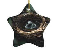 Decorazione natalizia in ceramica a forma di nido di uccellino, per decorare l'albero di Natale, per una casa accogliente e come idea regalo per le feste
