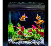 Decorazione Per Acquario Grotta Dell'Acquario Aeratore Decorazioni