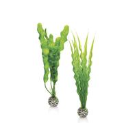 Decorazione per acquario set piante semplici medie verdi biOrb art 46056