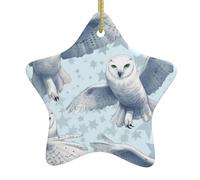 Decorazione per albero di Natale in ceramica da appendere a forma di stella HJFCZH Snowy Owl diffonde le ali stampate facile da appendere su alberi, porte e finestre